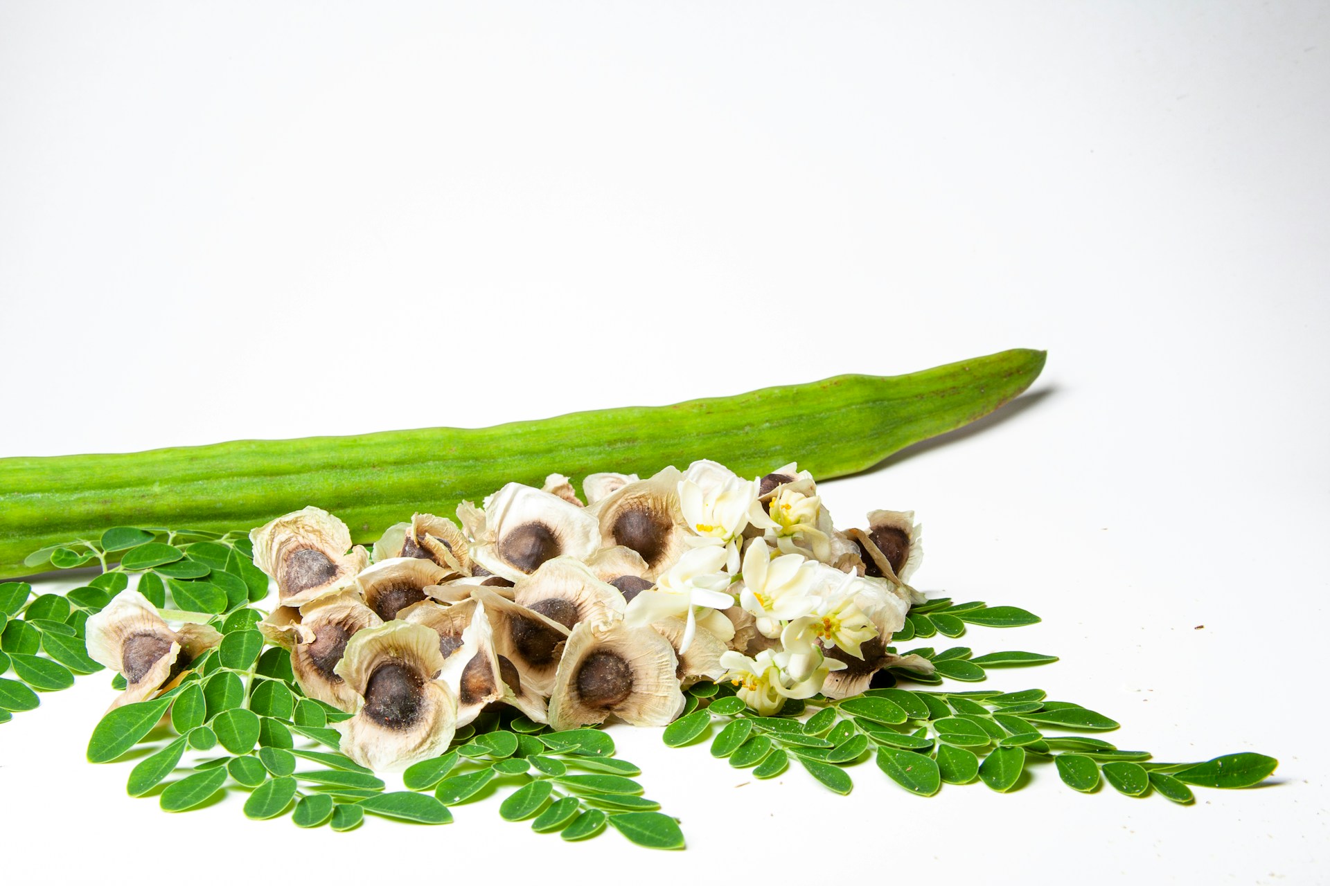 You are currently viewing Moringa Superfoods: Exploring the Benefits of Leaves and Seeds